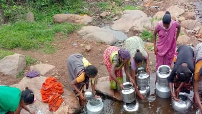 थारू संस्कृति का डंका दुनिया भर में बजवाएगी योगी सरकार