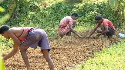 ആറുമാസത്തെ ഇടവേളക്ക് ശേഷം ആ തീരുമാനമെത്തി, ആശ്വാസം;  ഉള്ളി കയറ്റുമതി നിരോധനം നീക്കി കേന്ദ്ര സര്‍ക്കാര്‍ 