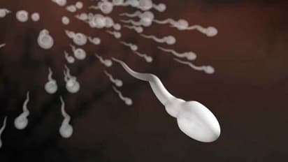 പുരുഷന്മാരിൽ ബീജോൽപാദനം കുറയുന്നതിന്റെ അഞ്ച് കാരണങ്ങൾ