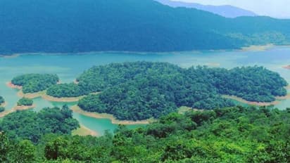 റോസ്‌മലയിൽ കാട്ടുപോത്തിനെ കണ്ട് ഭയന്നോടി കാട്ടിൽ അകപ്പെട്ട വിദ്യാർത്ഥിയെ കണ്ടെത്തി