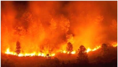 കാട്ടുതീ ദുരന്തത്തിൽ ഞെട്ടി കൊറ്റമ്പത്തൂര്‍ ; വെന്തു മരിച്ചത് മൂന്ന് വനപാലകര്‍