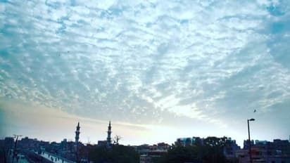 করাচির বন্দর এলাকায় 'রহস্যময়' গ্যাস আতঙ্ক, ঘটনাস্থলেই মৃত ৫, আহত ডজনখানেক