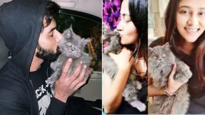 ഷെല്ലിയോടൊപ്പം സഞ്ജനയും സുജോയും; ബിഗ് ബോസിലേക്ക് തിരിച്ചെത്തുമോയെന്ന് ചോദ്യം