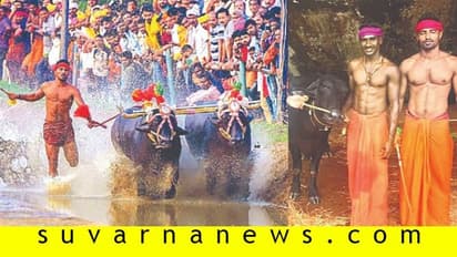 ಕಂಬಳ ಗದ್ದೆಯಲ್ಲಿ ಮತ್ತೊಬ್ಬ ‘ಬೋಲ್ಟ್’: ಶ್ರೀನಿವಾಸರ ದಾಖಲೆ ಮುರಿದ ನಿಶಾಂತ್ ಶೆಟ್ಟಿ!