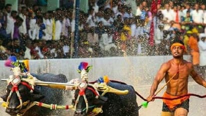 నాలుగు రోజుల్లో రికార్డు బద్ధలు: శ్రీనివాస గౌడను తలదన్నే మొనగాడొచ్చాడు