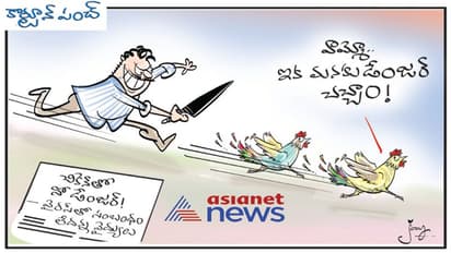 కరోనా వైరస్: చికెన్‌తో నో డేంజర్