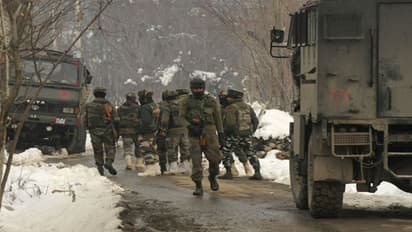 কাশ্মীরের পুলওয়ামায় সেনার অভিযান, এনকাউন্টারে নিকেশ হল ৩ জঙ্গি