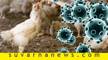 ರಾಜ್ಯದ ಕೋಳಿ ಉದ್ಯಮಕ್ಕೆ ಕೊರೋನಾ ಬರೆ!