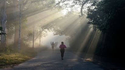 Weather Report: ছট পুজোর সকালে শীতের আমেজ বাড়ল কলকাতায়, সপ্তাহান্তে বৃষ্টির আশঙ্কা
