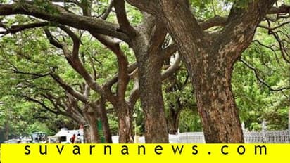 ಮರಗಣತಿ: ಪ್ರಾಧಿಕಾರದ ಬೇಜವಾಬ್ದಾರಿಗೆ ಹೈಕೋರ್ಟ್ ಹಿಗ್ಗಾಮುಗ್ಗಾ ತರಾಟೆ