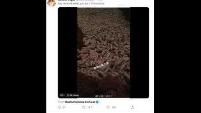 Fact Check; कोरोना से बचने के लिए चीन ने जला दिए हजारों जिंदा सूअर, जानें वायरल video की सच्चाई