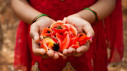 ফাল্গুন মাসে জন্ম, তবে আপনার মধ্যে এই রয়েছে এই বিশেষ গুণ