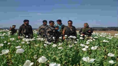 తాలిబాన్ల సంచలన నిర్ణయం.. ఓపియం సహా మాదక ద్రవ్యాల సాగుపై నిషేధం
