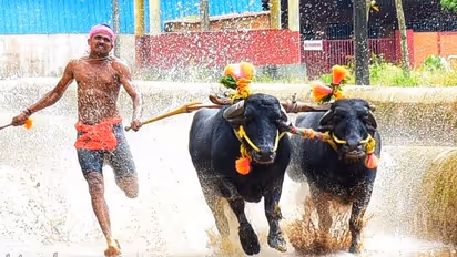 ಜನಪದ ಕ್ರೀಡೆ ಕಂಬಳವೀಗ ಒಡೆದ ಮನೆ!, ಸಾಂಪ್ರದಾಯಿಕ ಆಯೋಜಕರಿಲ್ಲವೇ ಮಾನ್ಯತೆ?