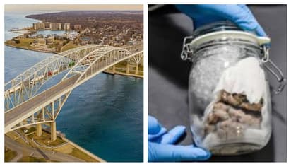 বোতলে বন্দি মানুষের মস্তিষ্ক, সীমান্তে ছড়াল আতঙ্ক