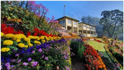 മികച്ച പൂന്തോട്ടങ്ങളില് മൂന്നാറിലെ റെയില്വേ ഗാര്ഡനും, നേട്ടമായി ബിബിസി അംഗീകാരം