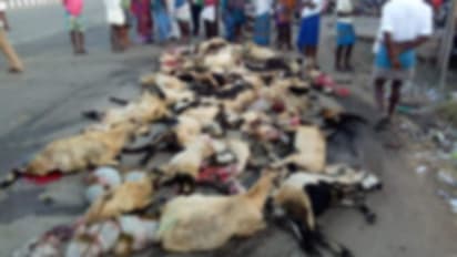 ಕೊಟ್ಟೂರು: ರೈಲಿಗೆ ಸಿಲುಕಿ ಕುರಿಗಾಯಿ, 18 ಕುರಿಗಳ ದಾರುಣ ಸಾವು