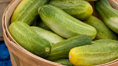 தினமும் ஒரு வெள்ளரி இவ்வளவு நன்மைகளா! ஆனா வெள்ளரிகாய் சாப்பிடும்போது இதை மட்டும் சாப்பிடாதீங்க! 