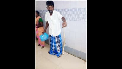 'இதுதான் என்னைக் கடிச்ச கட்டுவிரியன்'..! கடித்த பாம்பை கையோடு பிடித்து வந்த தொழிலாளி..!