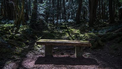 മരണത്തിന്റെ മണമുള്ള 'ആത്മഹത്യാ വനം'; ഇവിടെയെത്തിയാല് കോമ്പസും മൊബൈൽ ഫോണുകളും പ്രവര്ത്തിക്കാതാകും?