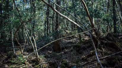 അനുവാദമില്ലാതെ ഉൾക്കാട്ടിലെത്തിയ നാല് യുവാക്കള്ക്കെതിരെ കേസ്