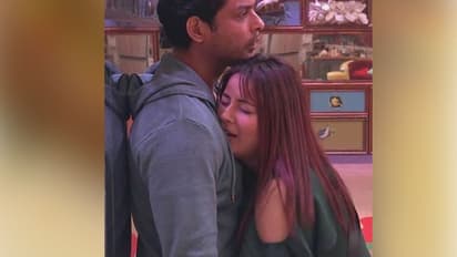 বিগবসের ঘরে নয়, ফের কাছাকাছি এলেন সিদ্ধার্থ-শেহনাজ