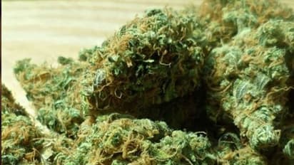 ട്രയിനില് കടത്തുകയായിരുന്ന ഏഴരകിലോ കഞ്ചാവ് ആര്പിഎഫ് പിടികൂടി