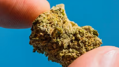 സംസ്ഥാനത്തെ ഏറ്റവും വലിയ കഞ്ചാവ് കടത്തുകേസ്: മുഖ്യപ്രതി രാജുഭായി മൈസൂർ പൊലീസിന്റെ പിടിയിൽ