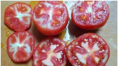 തക്കാളിയിലെ വെള്ള നിറം ഹോര്മോണ് പ്രയോഗം മൂലമോ? വിശദീകരണവുമായി അധികൃതര്