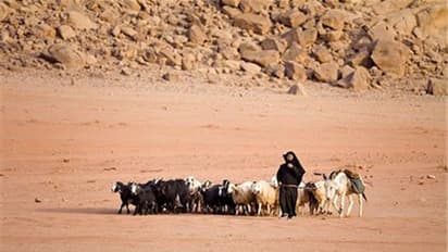 ആടുജീവിതത്തിന് ഒരു അറുതിയുമില്ല; ഏറ്റവും ഒടുവിൽ രക്ഷപ്പെട്ടത് വിതുര സ്വദേശി
