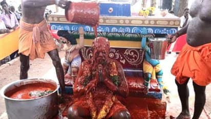 21 அரிவாள்கள் மேல்நின்று அருள்வாக்கு..! 68 கிலோ மிளகாய் தூள் அபிஷேகம்..! களைகட்டிய கருப்பசாமி கொடைவிழா..!