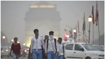 एनसीआर-दिल्ली को मिल सकती है बढ़ते प्रदूषण से निजात, पराली से तैयार किया जा रहा है प्लाई