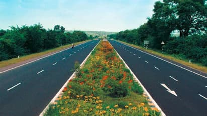 মৃতদেহর উপর দিয়ে চলে গেল একের পর এক গাড়ি, মাংস খুলে বেড়িয়ে এল হাড়গোর