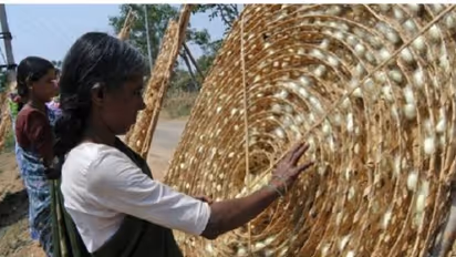 ಕೈಗೆ ಬಂದ ತುತ್ತು ಬಾಯಿಗೆ ಬರದಂತಾದ ರೈತರ ಬದುಕು: ಸಂಕಷ್ಟದಲ್ಲಿ ಅನ್ನದಾತ