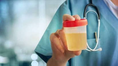 বড়সড় পর্দাফাঁস, মহিলাদের মূত্র দিয়েই তৈরি হচ্ছে এই জনপ্রিয় পাউরুটি