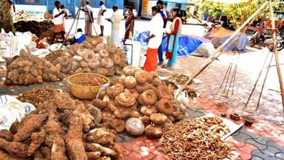 ചെട്ടികുളങ്ങര ഭരണിക്ക് ഇനി രണ്ടുനാൾ കൂടി: ഓണാട്ടുകരയുടെ കാർഷിക വിഭവങ്ങളുമായി ഭരണിചന്തകൾ തുടങ്ങി