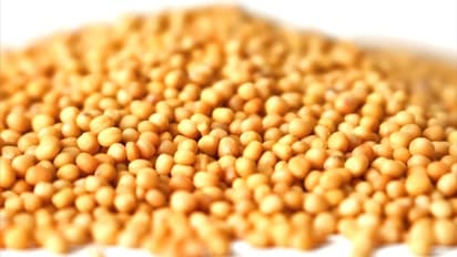 ಒಗ್ಗರಣೆ ಡಬ್ಬದಲ್ಲಿ ಈ ಸಾಸಿವಿಗೆ ಕ್ಯಾನ್ಸರ್ ದೂರ ಮಾಡೋ ಶಕ್ತಿನೂ ಇದೆ..