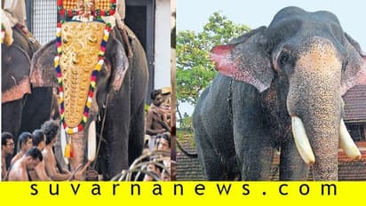 ಗುರುವಾಯೂರು ದೇಗುಲದ ಗಜರತ್ನಂ ಪದ್ಮನಾಭನ್ ಆನೆ ಇನ್ನಿಲ್ಲ!