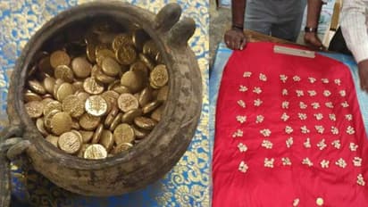 ക്ഷേത്രത്തിന് സമീപം നിധിശേഖരം; കുഴിച്ചെടുത്തത് അഞ്ഞൂറിലധികം സ്വർണ്ണനാണയങ്ങൾ