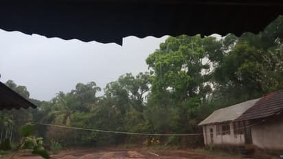 ಮಂಗಳೂರಲ್ಲಿ ವರ್ಷದ ಮೊದಲ ಮಳೆ, ಇಲ್ಲಿವೆ ಫೋಟೋಸ್