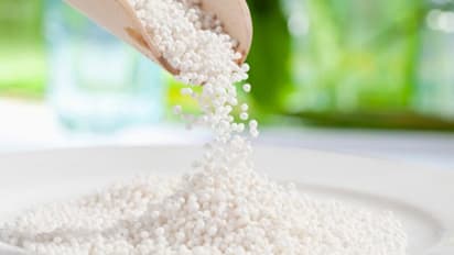 সাবুতে থাকা রেজিসটেন্স স্টার্চ, অন্ত্রে থাকা উপকারী ব্য়াকটেরিয়াকে চাঙ্গা রাখে