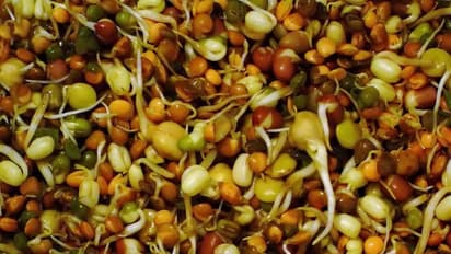 ಹಸಿ ಅಲ್ಲ ಬೇಯಿಸಿದ ಮೊಳಕೆ ಕಾಳು ಆರೋಗ್ಯಕ್ಕೆ ಉತ್ತಮ