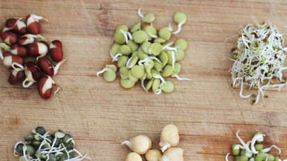 മുളപ്പിച്ച പയർ പതിവായി കഴിക്കുന്നവരാണോ? എങ്കിൽ ഒന്ന് ശ്രദ്ധിക്കൂ