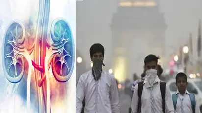 Delhi breathes poison! Could air pollution be silent contributor to chronic kidney disease? What experts say
