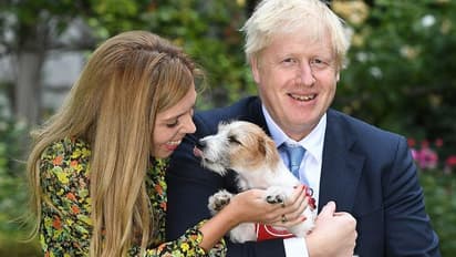 ബോറിസ് ജോണ്സന്റെ ഗര്ഭിണിയായ കാമുകിക്കും കൊവിഡ് ലക്ഷണങ്ങള്; ആരോഗ്യം വീണ്ടെടുത്തുവെന്ന് ക്യാരി സിമണ്ട്സ്