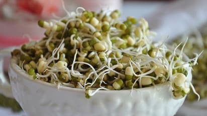 മുളപ്പിച്ച ചെറുപയര് കഴിക്കുന്നത് ശീലമാക്കൂ; അറിയാം അഞ്ച് ഗുണങ്ങൾ