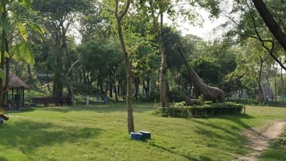 മരുന്നിന് പകരം 10 മിനുറ്റ് പാര്ക്കില് ചിലവിടാന് ഡോക്ടര് പറഞ്ഞാലോ?