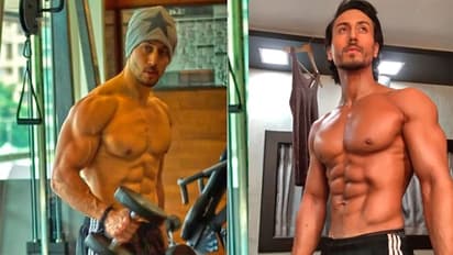 কোয়ারেন্টাইনে বিনোদনের জন্য রয়েছেন টাইগার, রইল ভিডিও