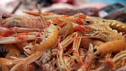 ചെമ്മീന്‍ കയറ്റുമതി ചെയ്‍ത് ലാഭം; ഇത് മത്സ്യത്തൊഴിലാളികള്‍ക്ക് കൈത്താങ്ങായ സ്റ്റാര്‍ട്ടപ്പ്