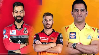 ఐపీఎల్ వాయిదా: ఏ క్రికెటర్ కి ఎంతెంత నష్టమంటే...